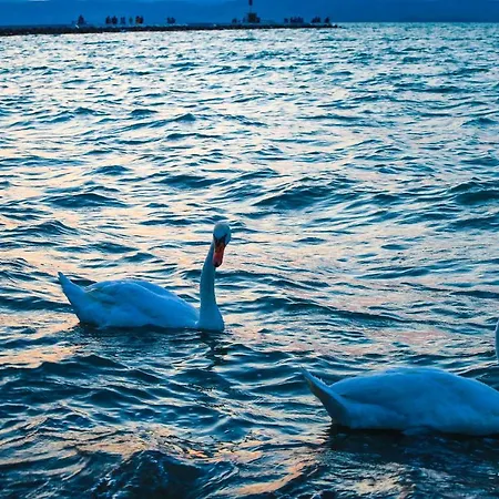 Διαμέρισμα White